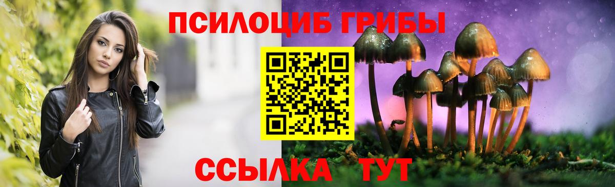 Саранск  Псилоцибиновые грибы Magic Shrooms  Вход с VPN  Псилоцибиновые грибы Psilocybe 
